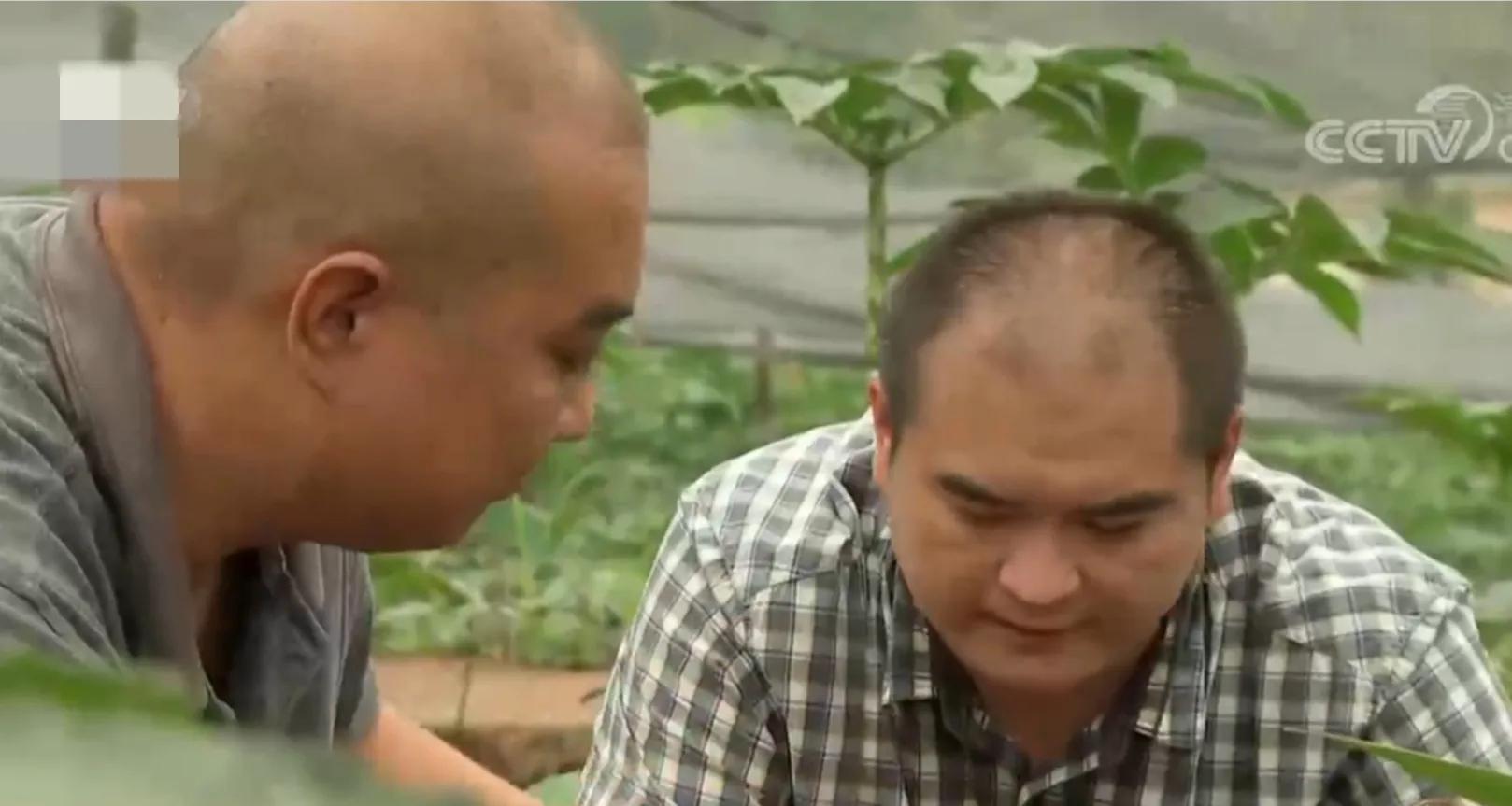 200亩荒山变成聚宝盆,愚公移苍山荒山化作聚宝盆