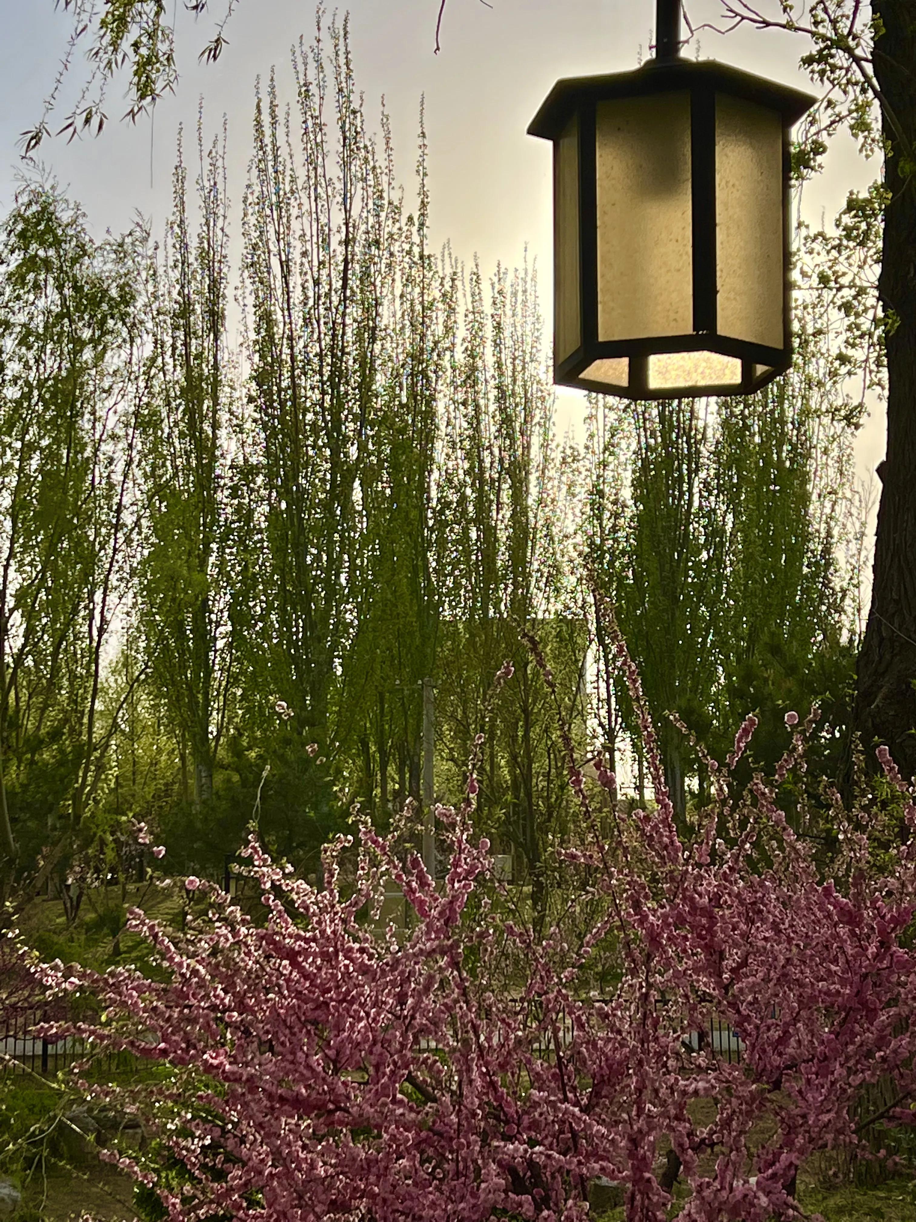 乐逍遥,乐逍遥歌曲