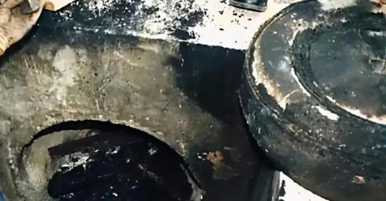 马来西亚华人王丽涓被害案,王丽娜遇害后续