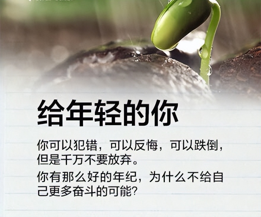 网贷信用卡逾期怎么办,网贷信用卡逾期没能力还怎么处理