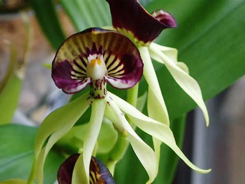 国色天香秀色可餐的美女 (秀色可餐与国色天香)