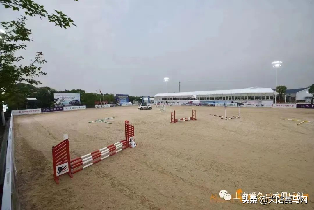 上海爱久马术俱乐部直播,上海爱久马术基地