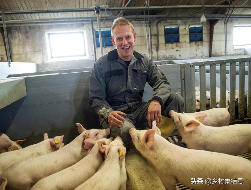 涓归害鐨囧閽荤煶鐨囧啝,涓归害鐨囧啝s绯诲垪