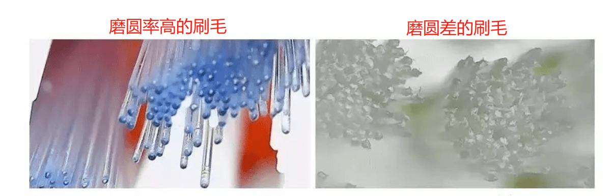 哪个品牌电动牙刷性价比很高,电动牙刷什么品牌最好用最耐用