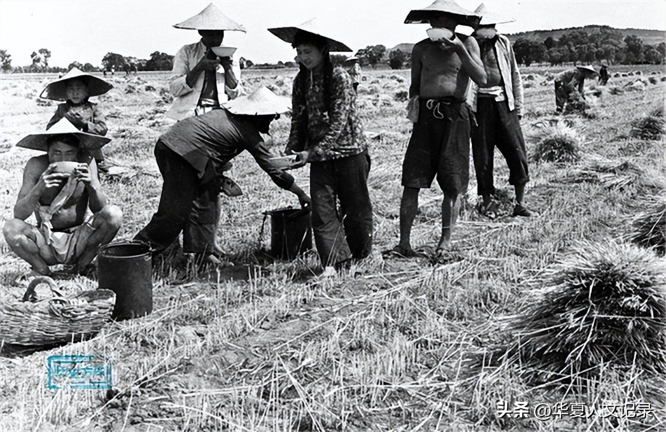 臧野声II清水沟畔刘奶奶（小说连载之三）