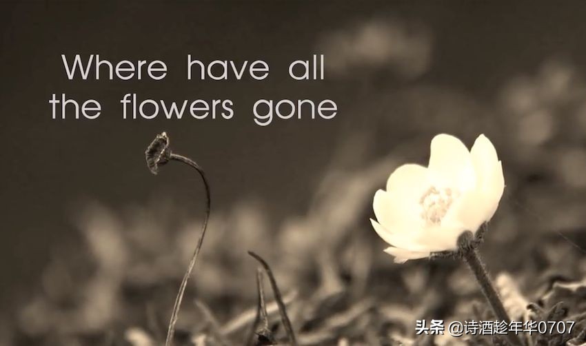 十首难以超越的闽南歌曲,欧美乡村老民谣