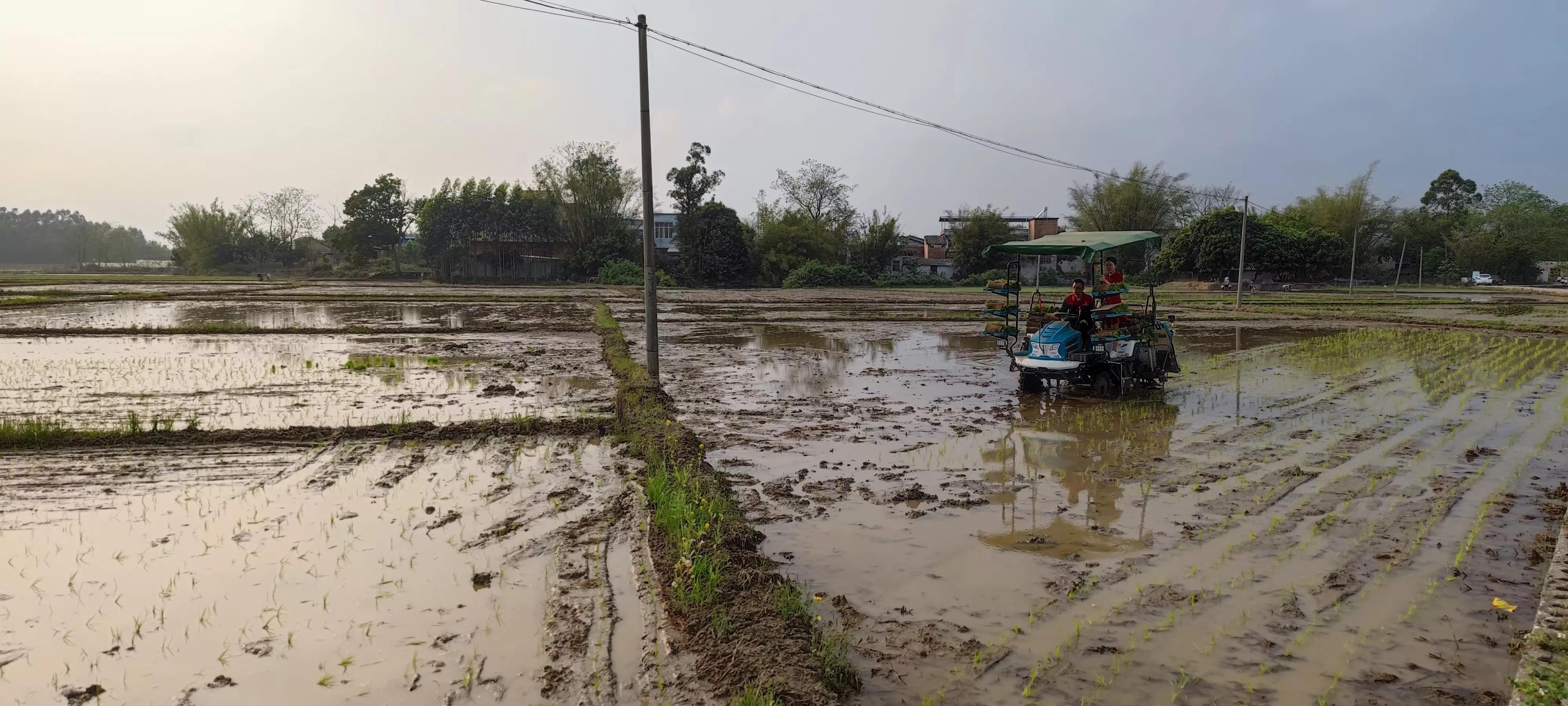 农联助力乡村振兴,联农助农乡村振兴