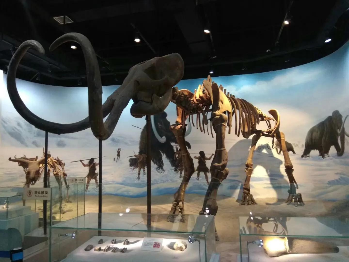 我的母校我的家乡,回母校宣传沈阳师范大学