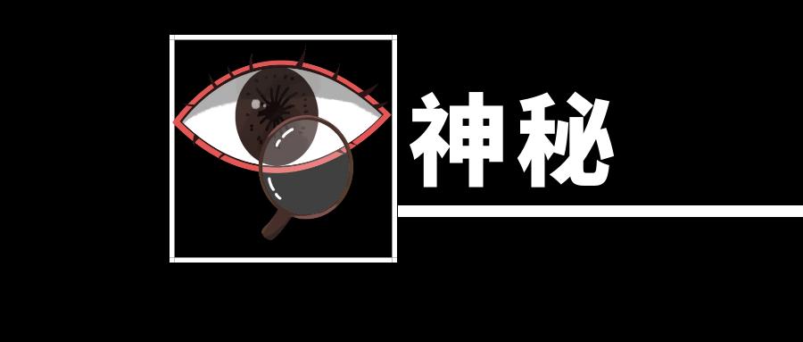 网站优化效果,网站优化方案是做什么的