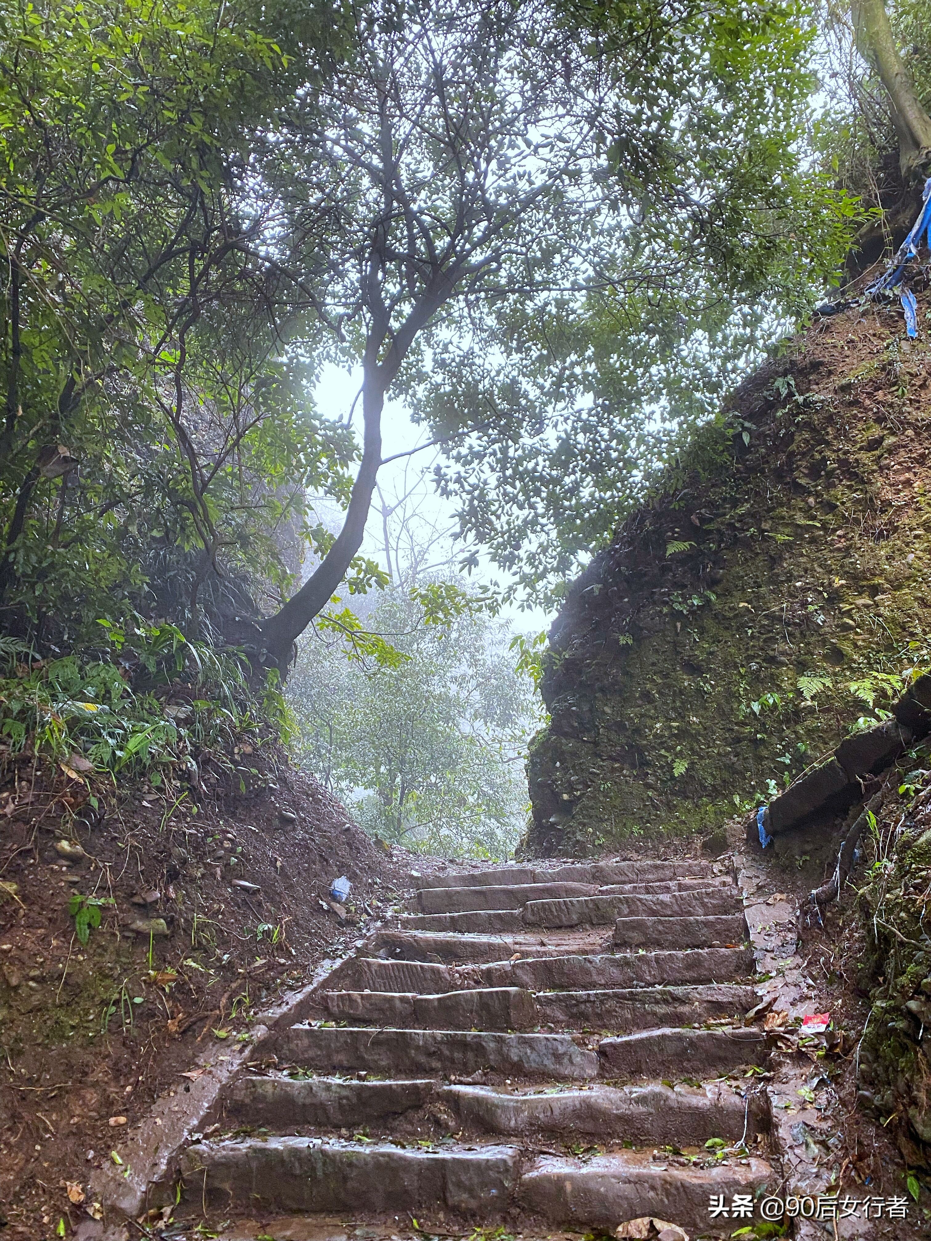 下雨天去拜访师傅合适吗,雨天去青城山