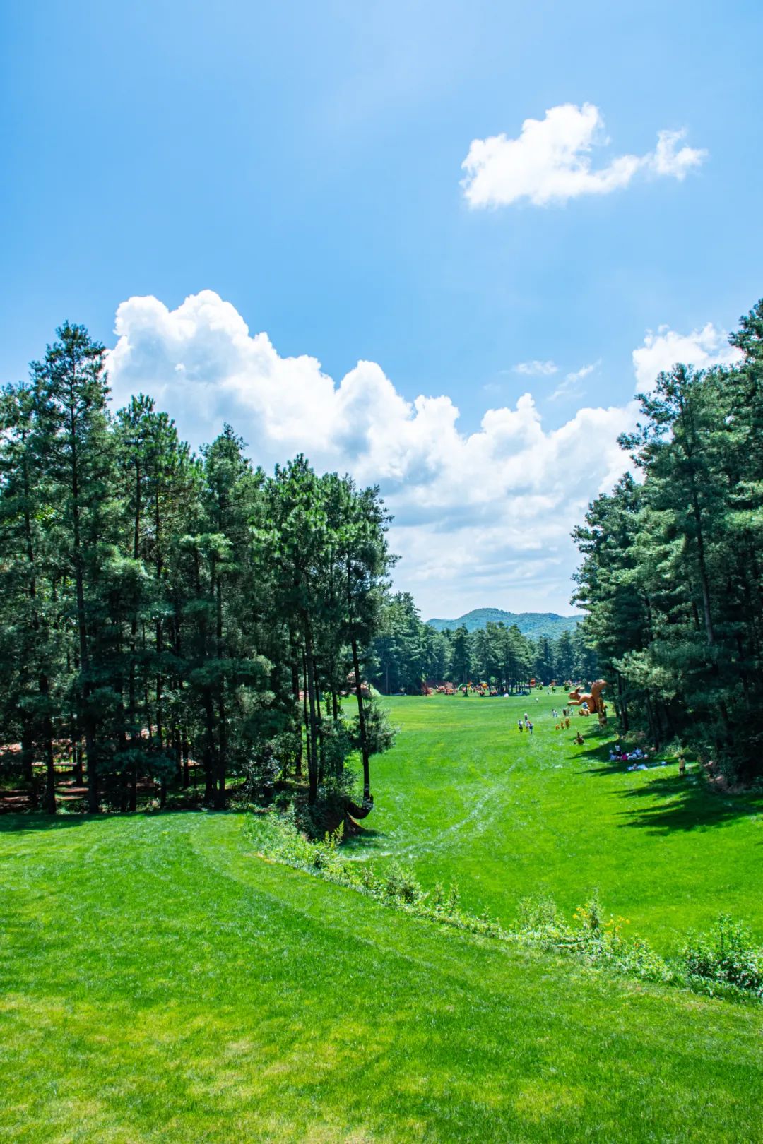 昆明国庆周边游露营,昆明春游露营的地方