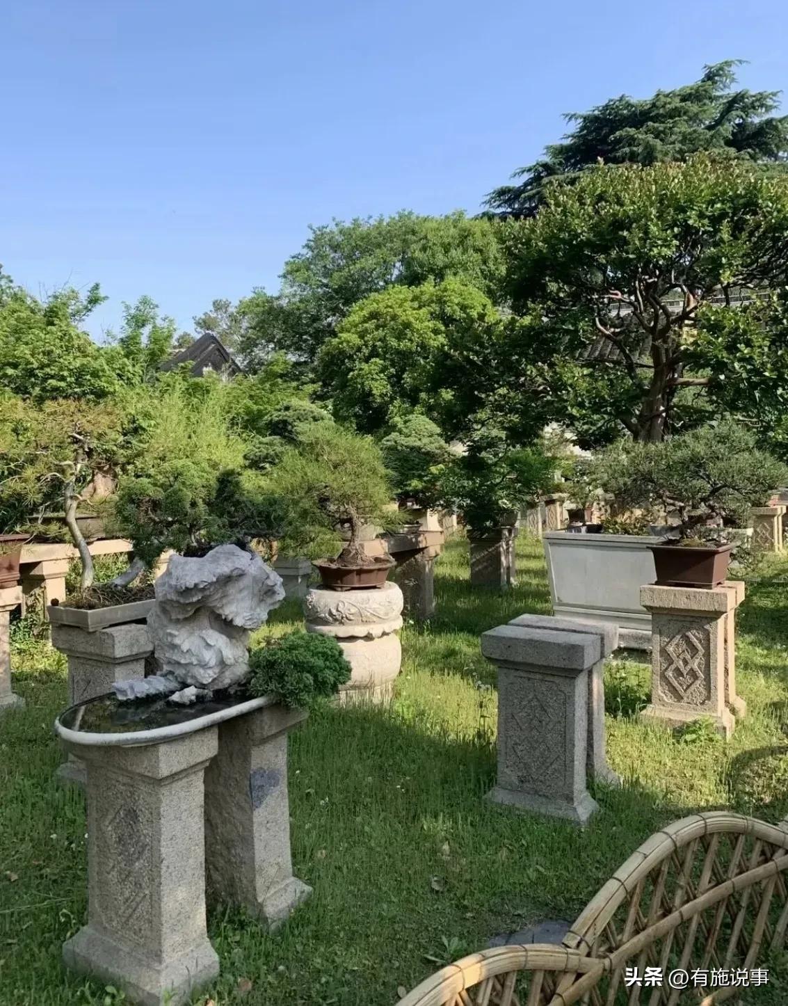 享乐游苏州之【拙政园】