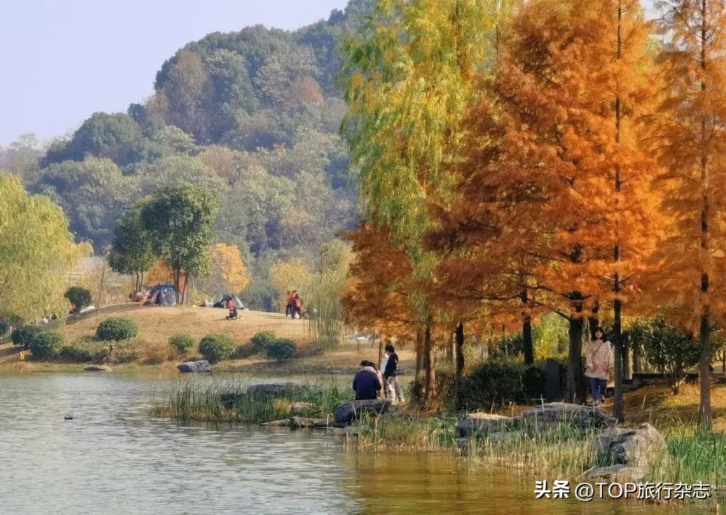 长沙最新的公园和景区,长沙有哪些公园可以免费开放