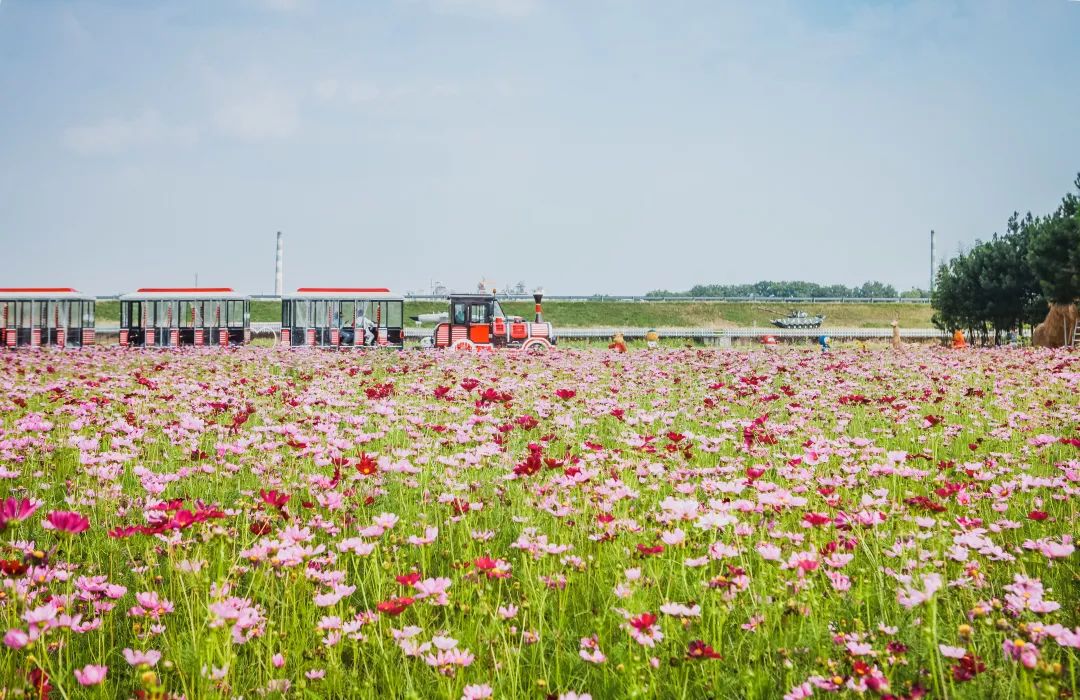稻梦空间乡村生态观光园,稻梦空间采摘园