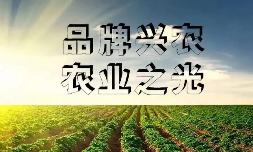 农业品牌建设与发展,农业发展与品牌塑造