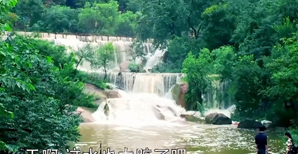 手撕*袜丝**,筷子夹胸,这些辣眼睛的镜头,实在是让人忍无可忍