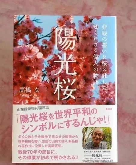 染井吉野樱花是什么樱花,大岛樱花和染井吉野樱的区别