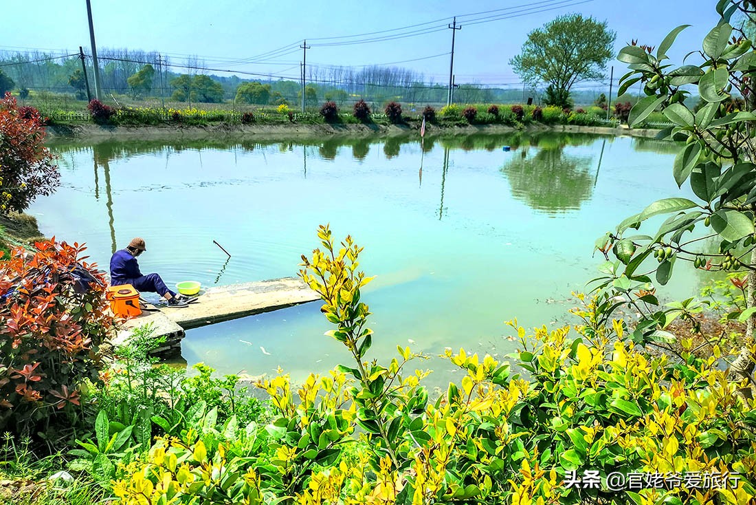 诗人海子珍贵视频,诗人海子经典语录