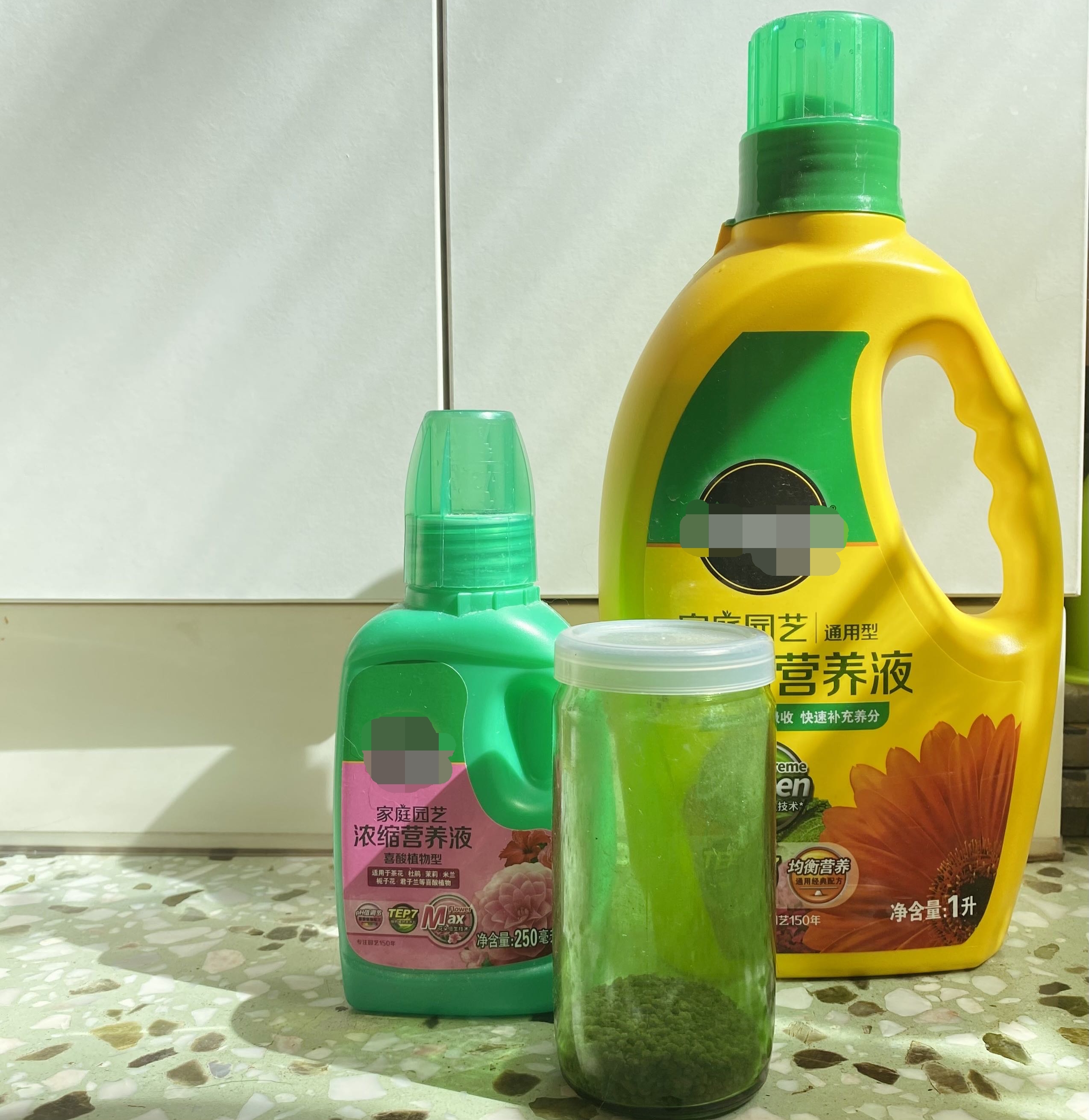 进阶为植物养殖高手必养的植物,20年种植经验告诉你多肉这样养