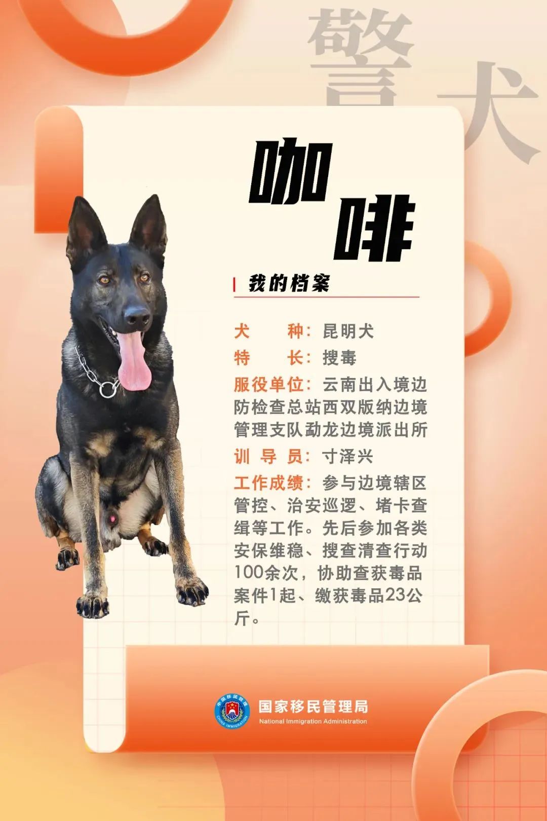 功勋犬天狼,功勋犬挑战不可能