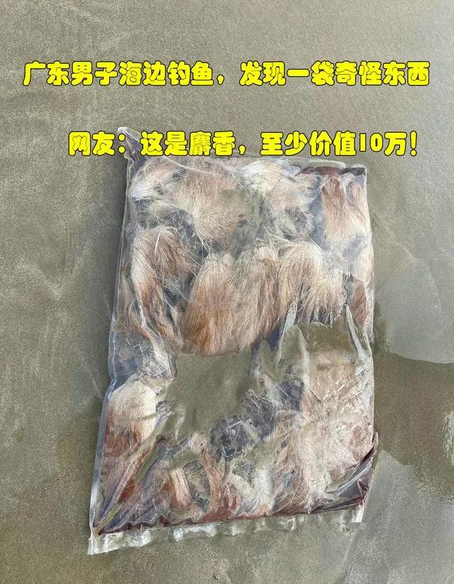 一克400元供不应求，麝香卖那么贵，为什么没几个人养殖？