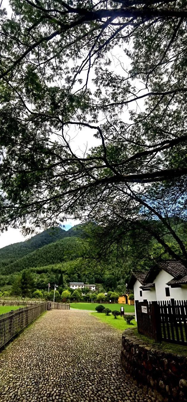 哈雷车主会福州分会,哈雷hog车主会八周年庆典巡游