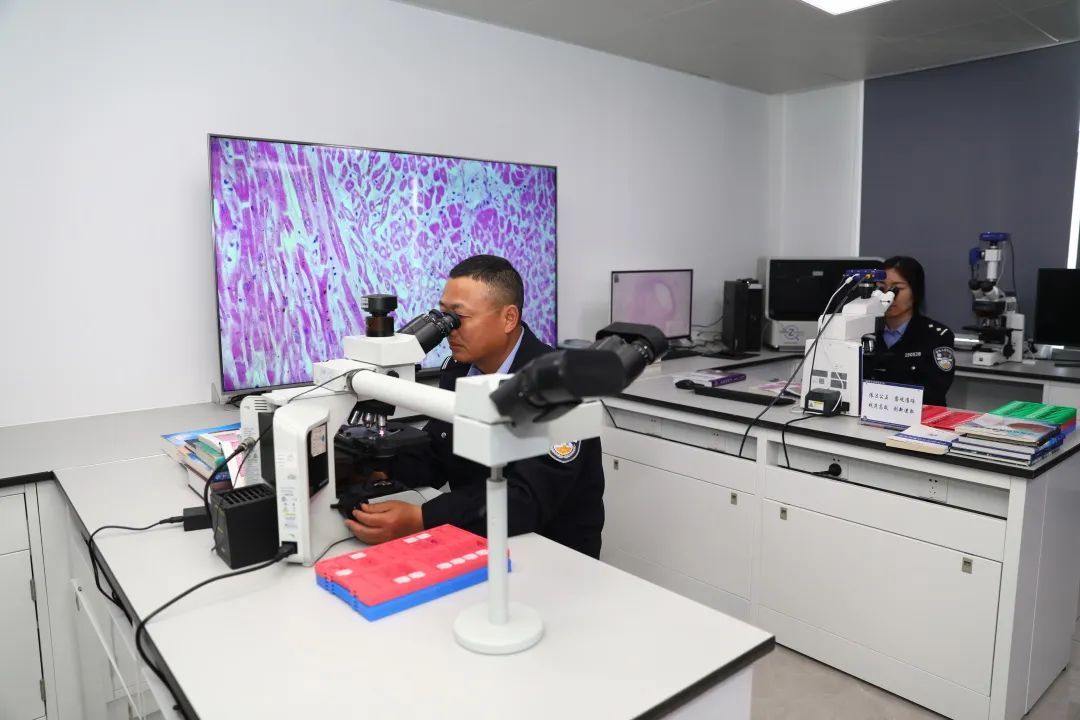 刘旸赴盐城公安机关调研指导常态化疫情防控形势下维护安全稳定和服务发展工作