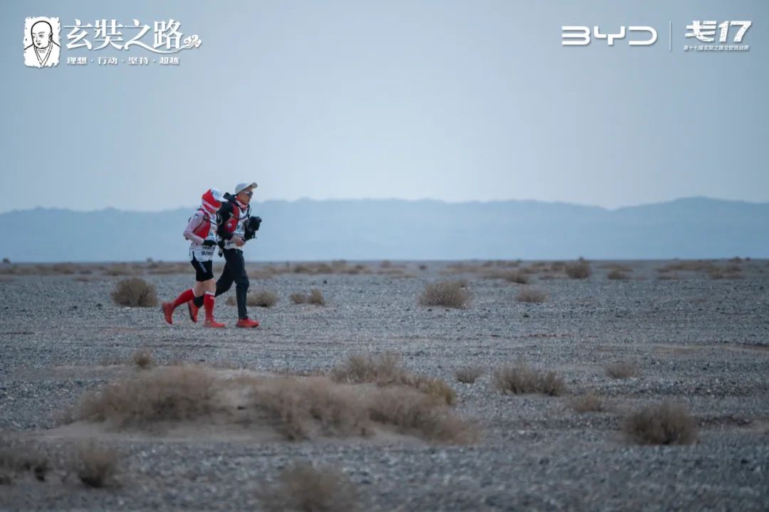 戈17是什么赛事,戈17挑战赛排名