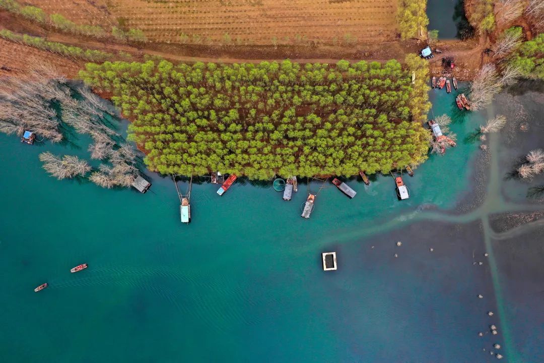 迎接党的20大美术作品,喜迎二十大乡村摄影展