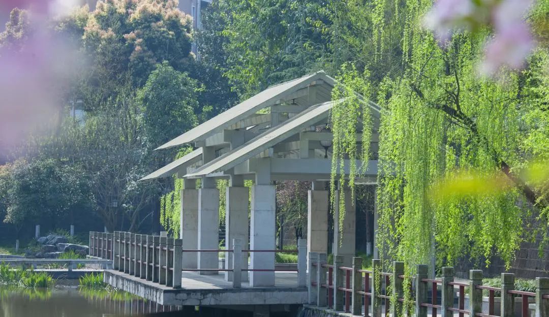 四川文理学院为什么不叫大学,四川文理学院现在是师范学校吗