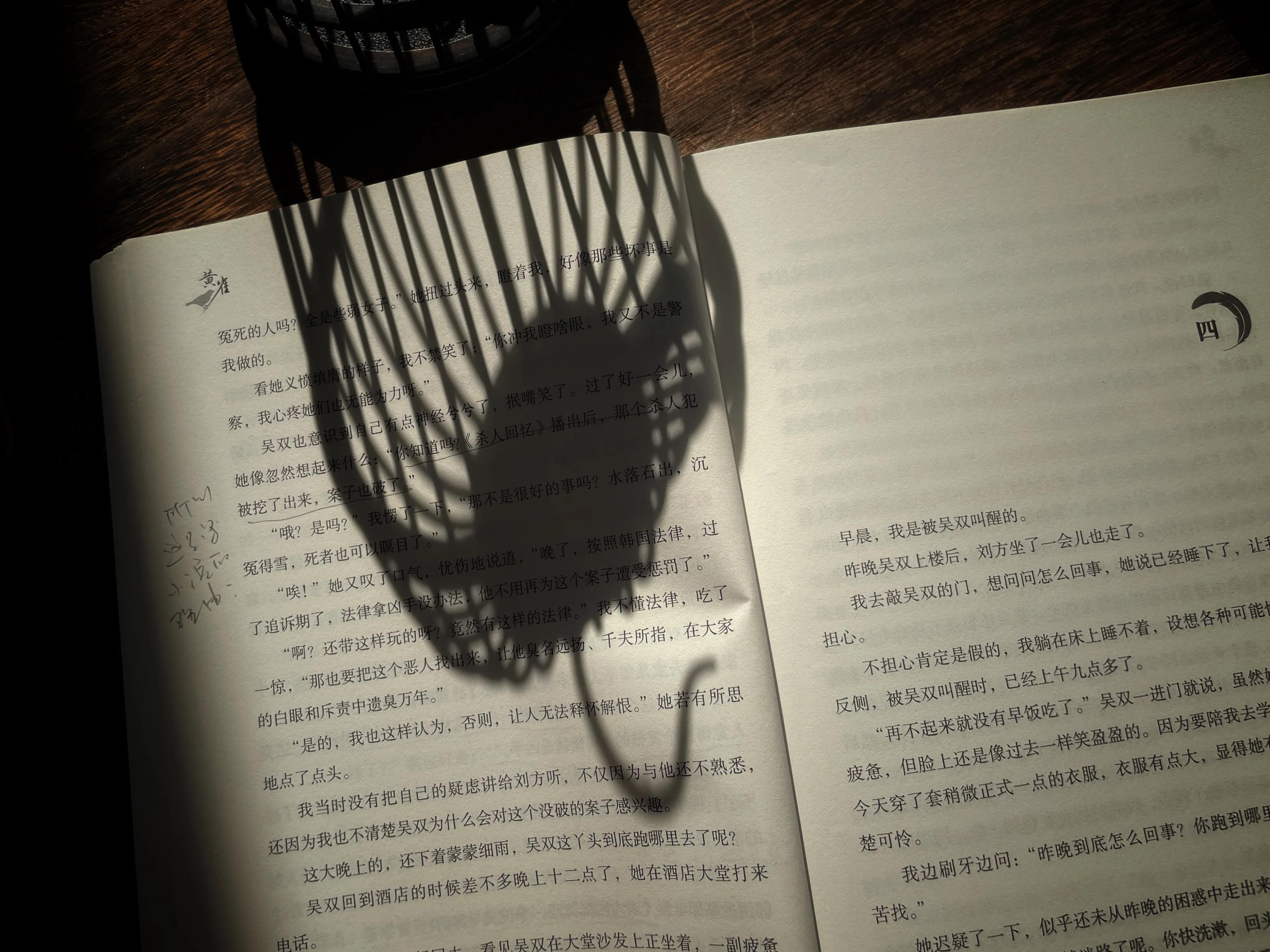 碎尸案小说一口气看完,杀人碎尸悬疑小说一口气看完