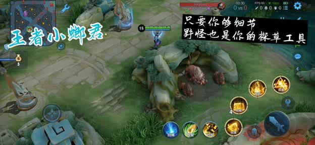 峡谷八大探草技巧,野怪探索草丛神技