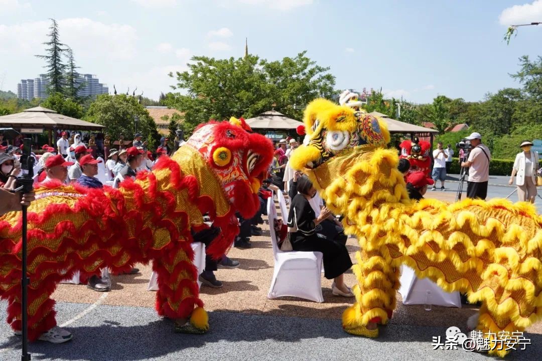 有创意，你就来！安宁市螳川文创设计大赛正式启动