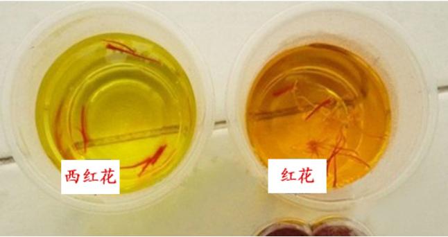 红花与西红花区别图表,红花西红花特殊鉴别方法