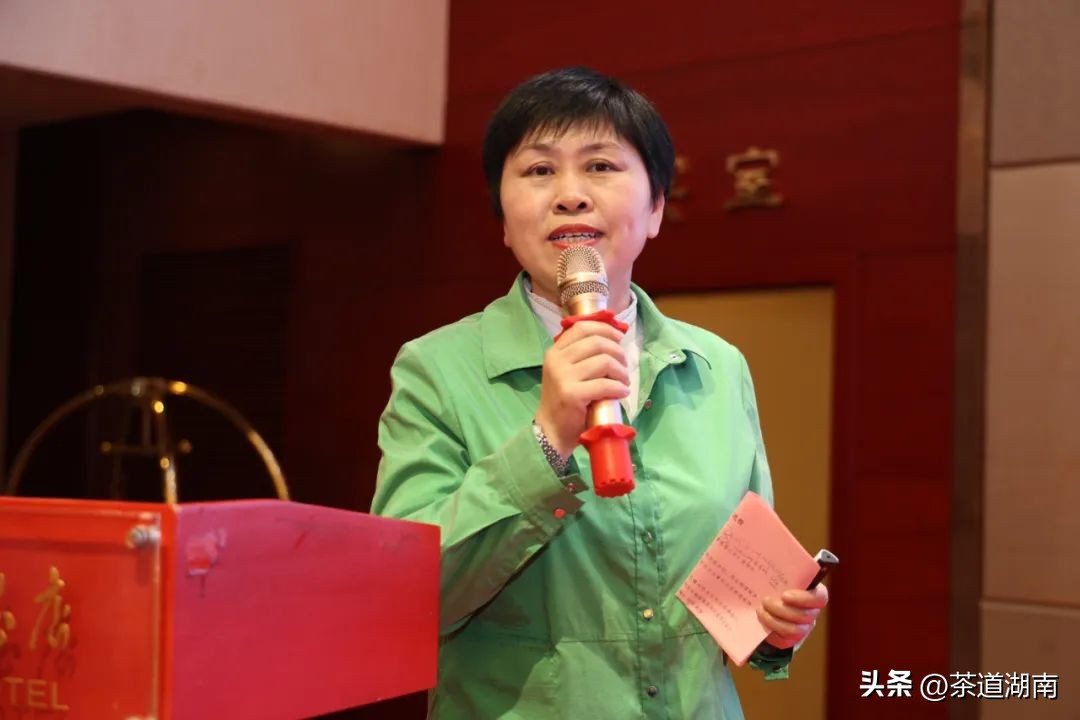 湖南长沙县春茶,2022湖南春茶总结