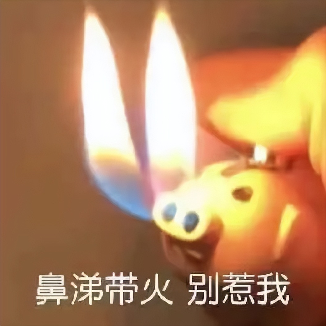 2020上半年网络热词大全收藏,2019年度网络热词统计图片