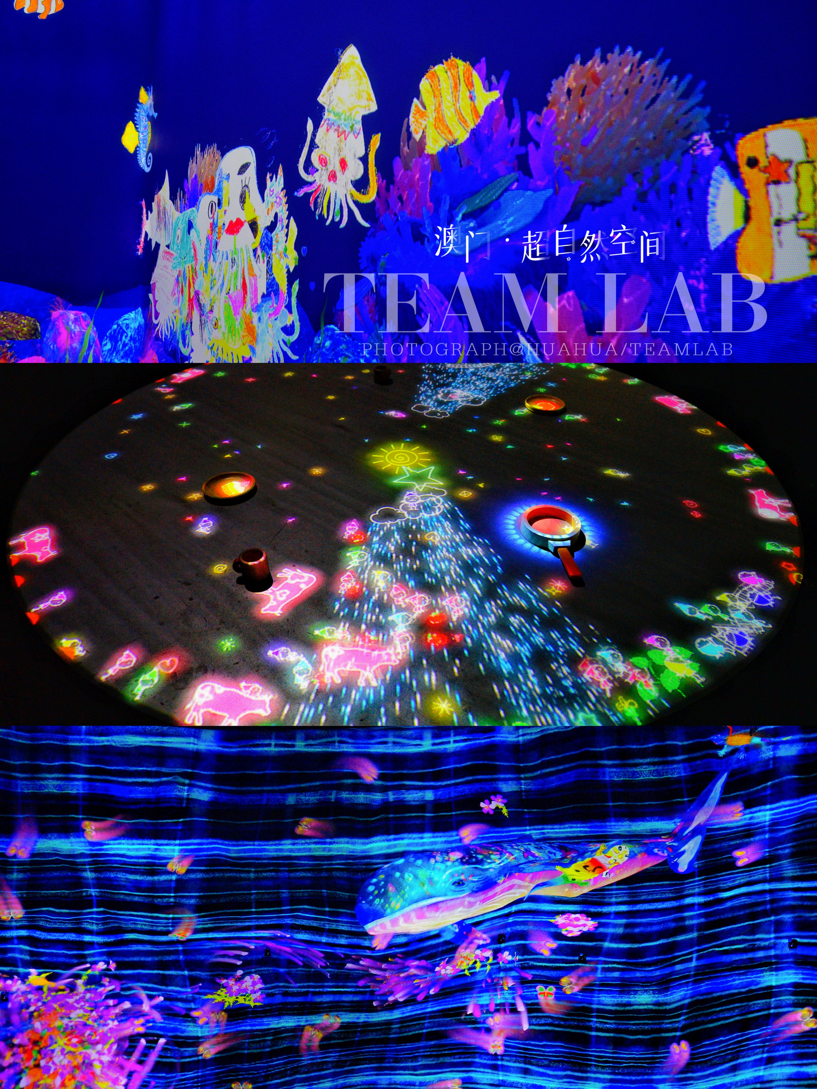 澳门5天4夜旅游攻略,澳门旅游攻略自由行3天