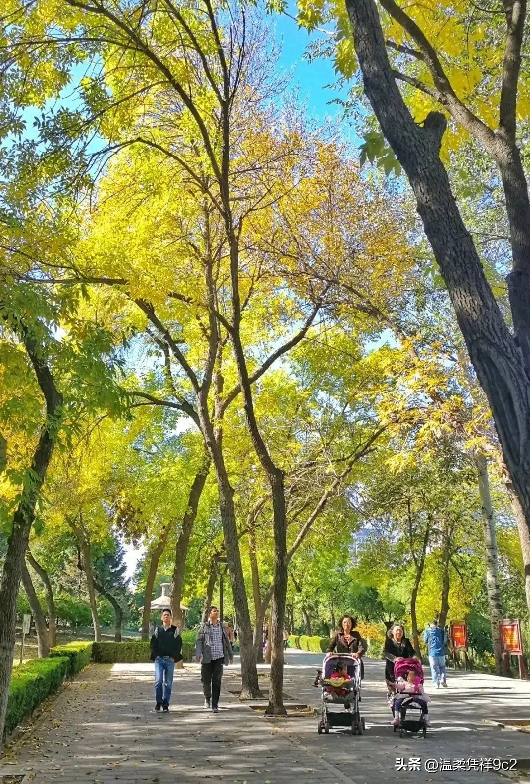 100年前的元首,60年代的领导干部