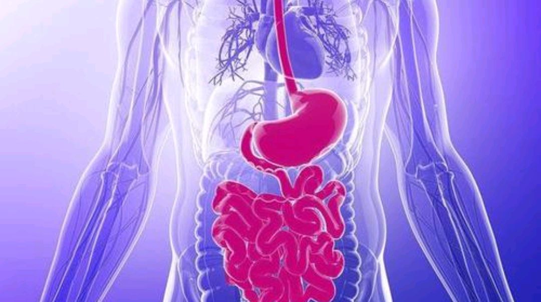 肠道免疫力锻炼方法,怎么改善肠道功能提高肠道免疫力