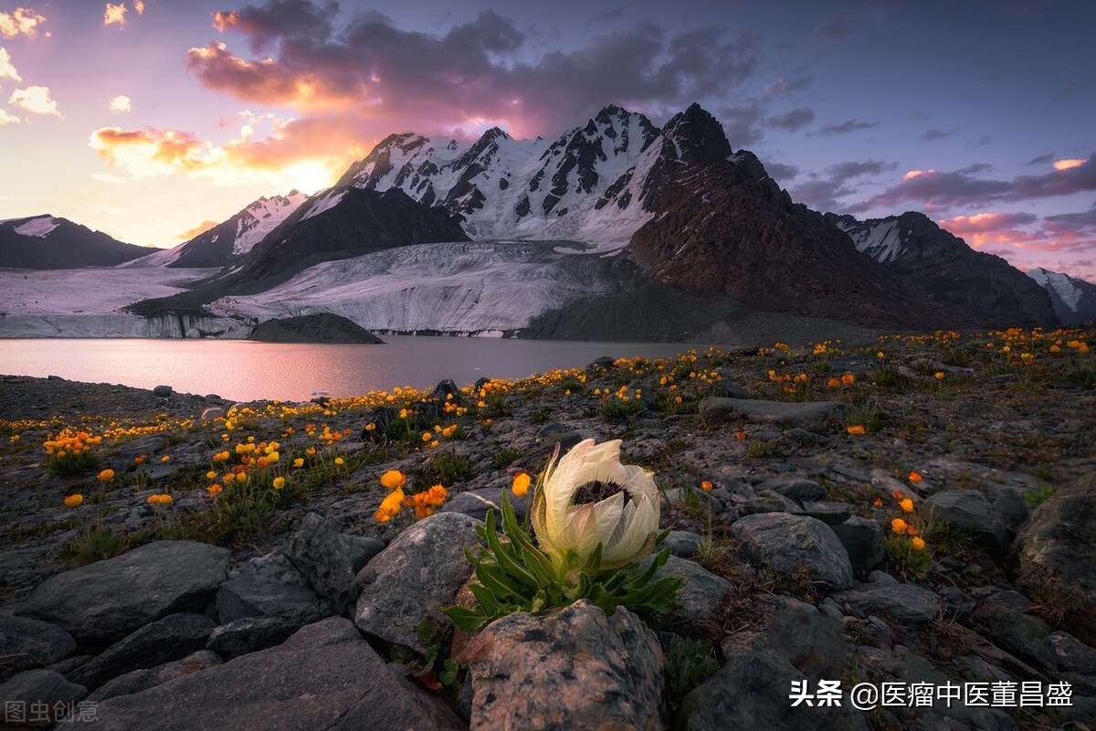 伤寒杂病论中治青春痘的方子,痘疮的中医辨证治疗