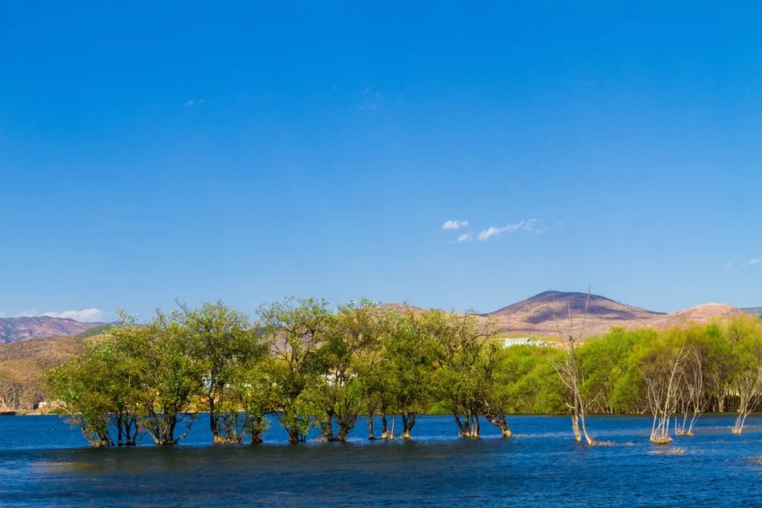 洱海选一个必须去的景点,洱海不建议去的景点图片