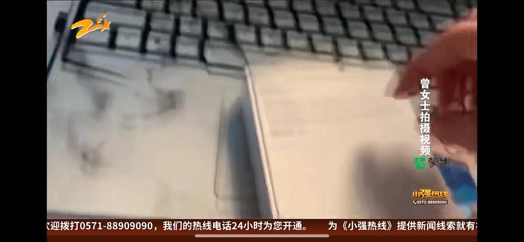 女子在京东买苹果手机变铁块,女孩购买苹果14收到铁片