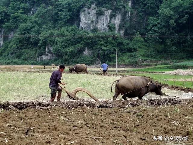 难忘的80年代的生活,80年代的辛酸史