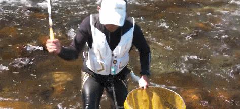 渔具产品了解,渔具品牌知识大全