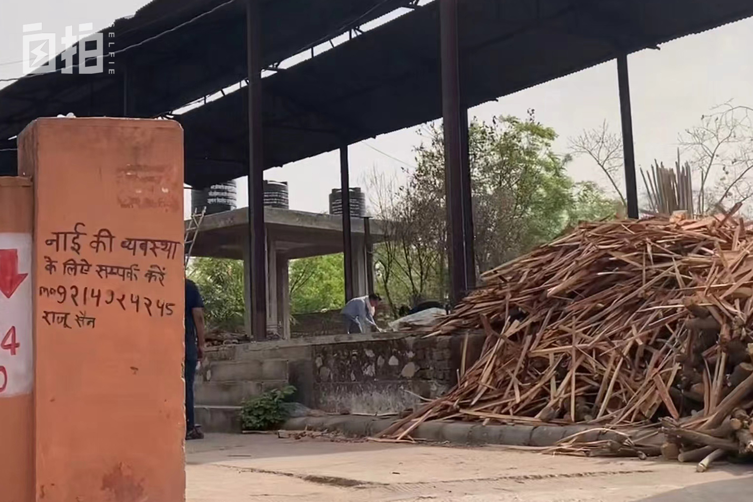 我，印度人，12岁被拉去结婚，16岁打工，靠会中文支撑起全家生活