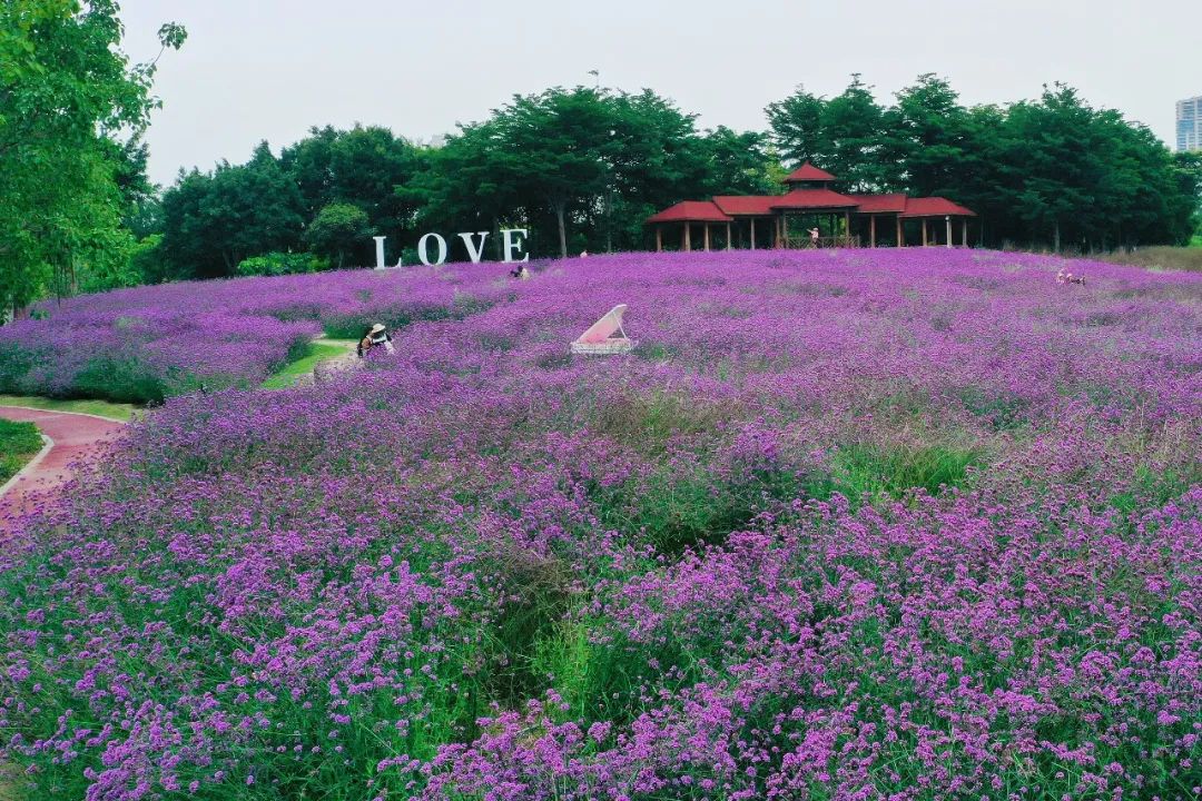 最值得推荐的厦门海景酒店有哪些,最值得推荐的厦门海景酒店