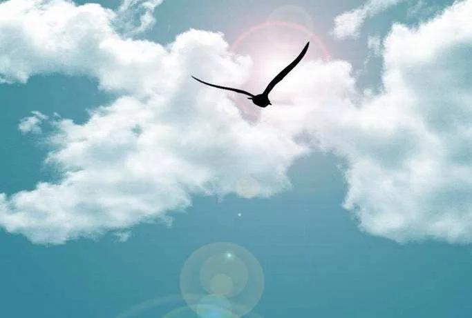 行动往往才是成功的第一要素