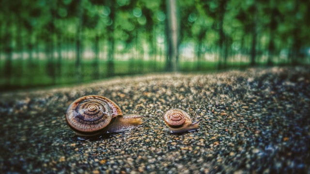 在乡村怎么创业最有出路,普通家庭靠什么致富