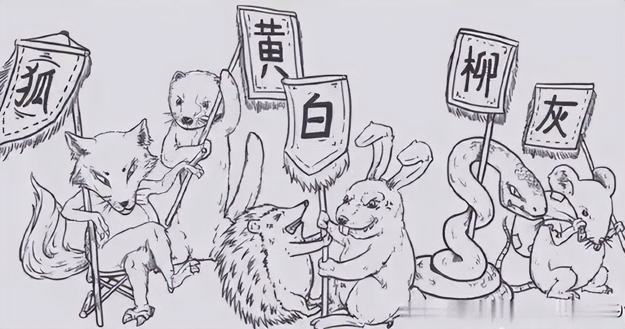 250厘米长眼镜蛇潜入家中惊心动魄,江苏女子上厕所发现蛇