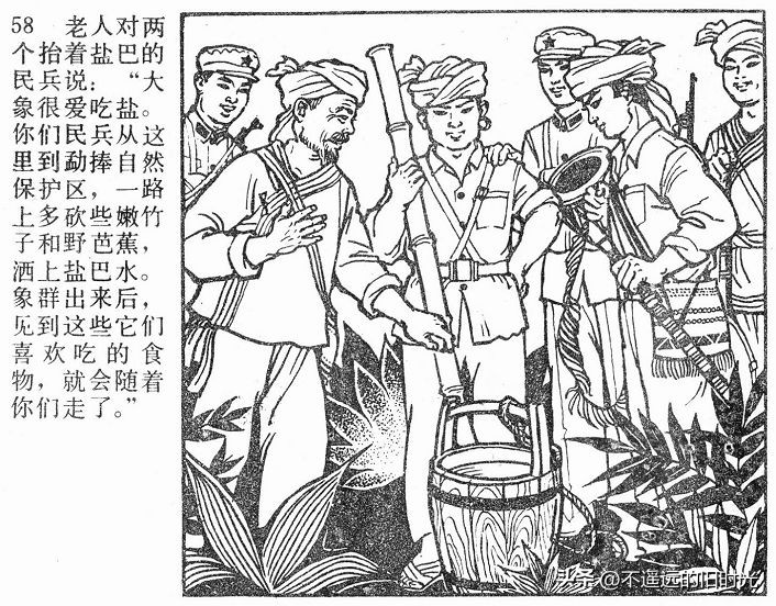 大象搬家,大象搬家河北